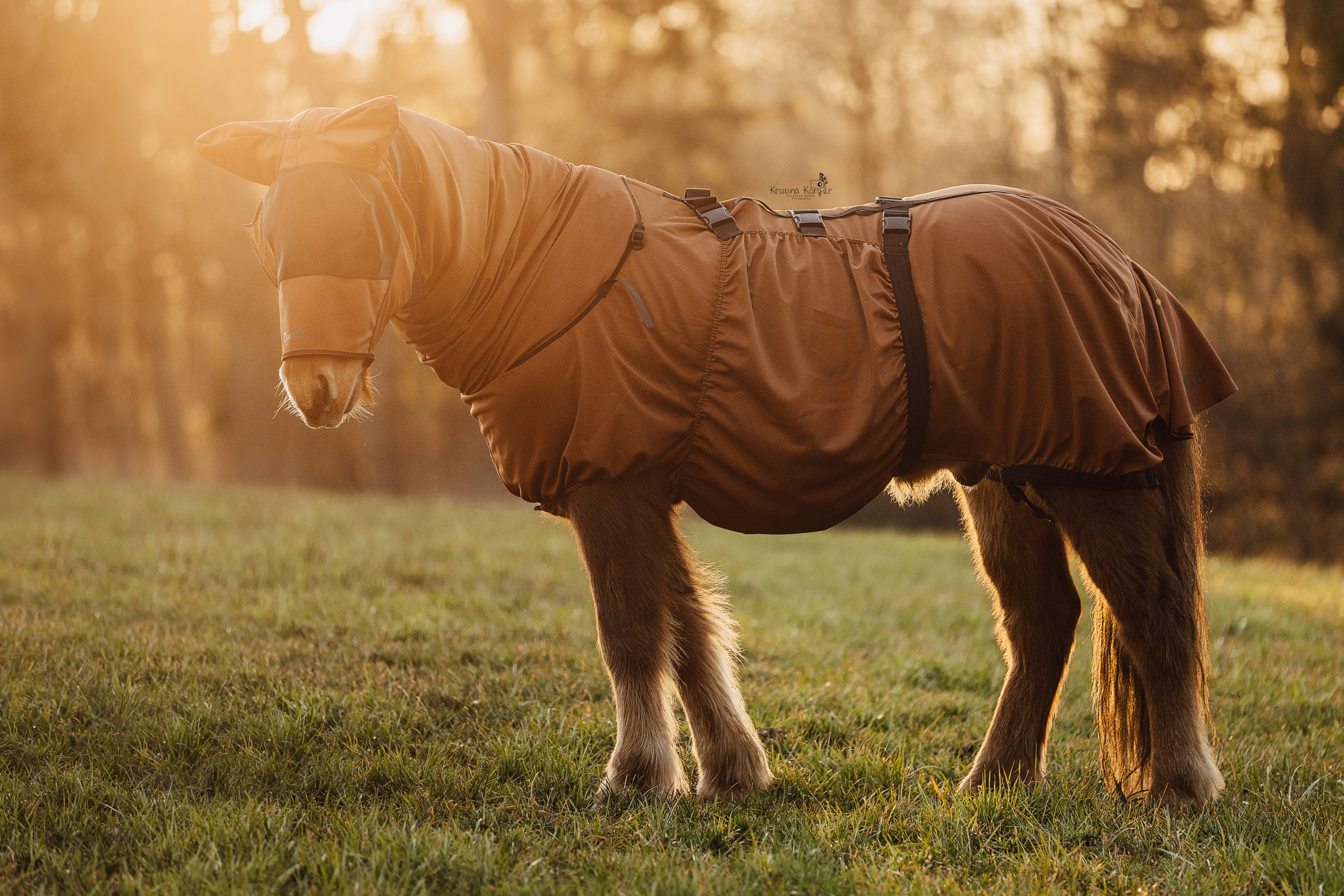 Braunes Pferd Fleece Decke Fotografische Bild Hochwertig